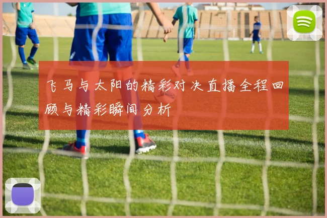 飞马与太阳的精彩对决直播全程回顾与精彩瞬间分析