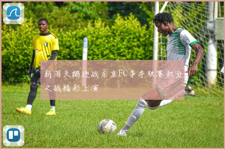 新泻天鹅迎战东京FC争夺联赛积分之战精彩上演