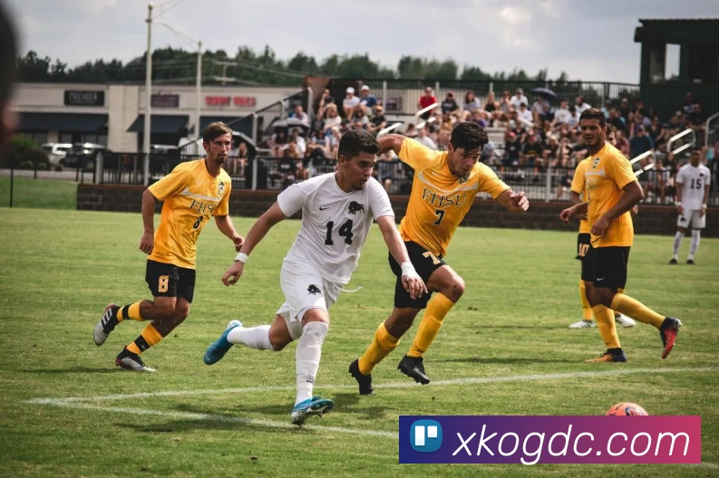 多媒体互动体验